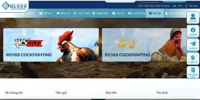 Đá gà online – Kịch tính trong từng pha, không thể rời mắt